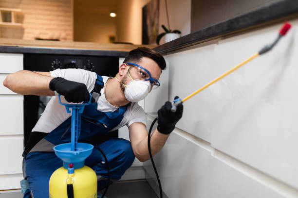 Best Wasp Removal Services  in Ridgway, CO