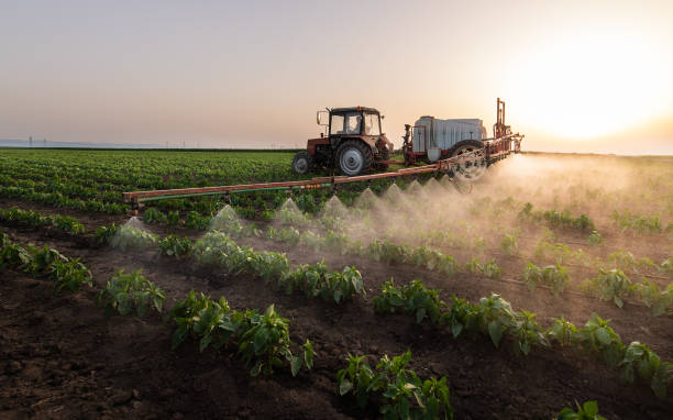 Best Mosquito Control Services  in Ridgway, CO