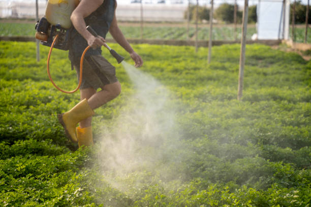 Reliable Ridgway, CO Pest Control Solutions