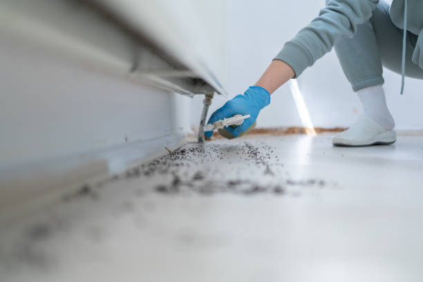 Wildlife Control Services in Ridgway, CO